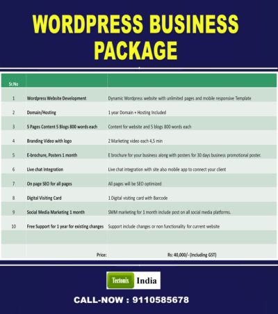 Wordpress business Package